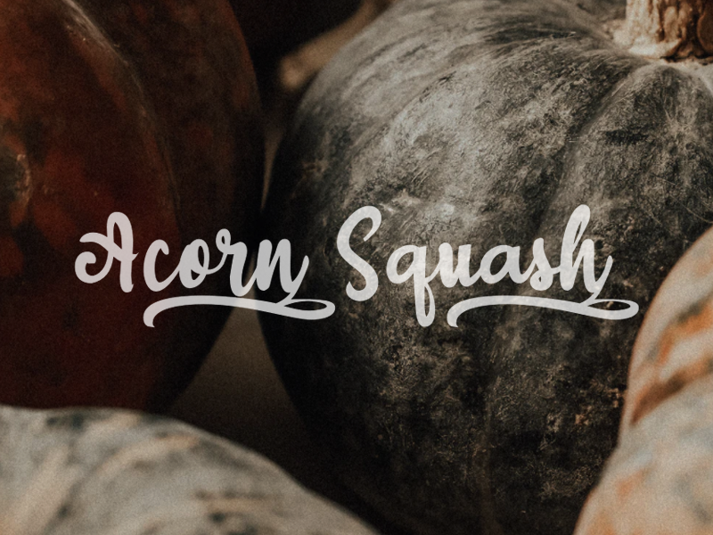 a Acorn Squash