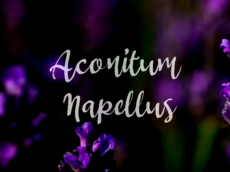 a Aconitum Napellus