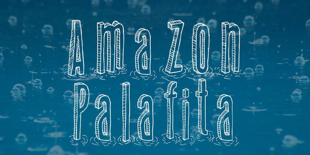 Amazon Palafita
