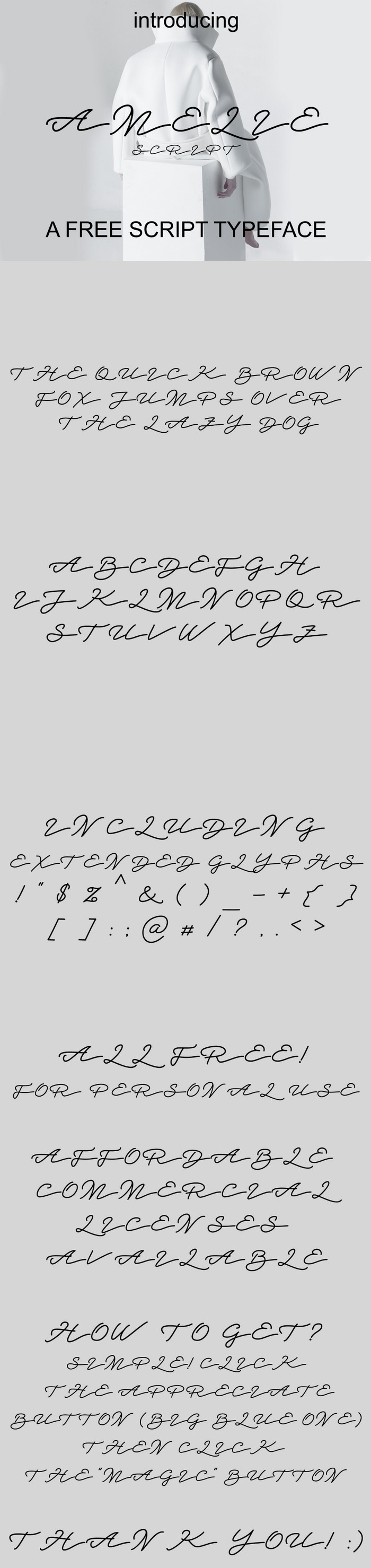 Amelie Script