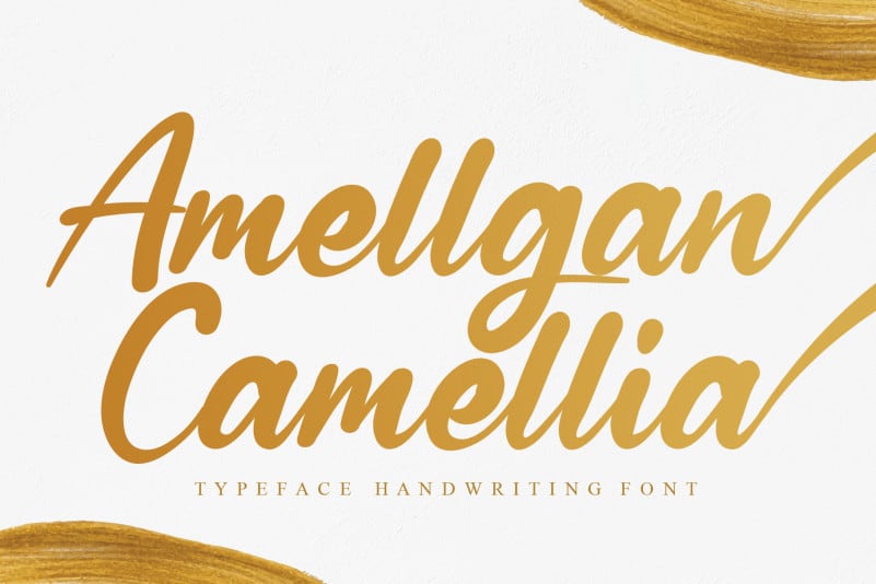Amellgan Camellia