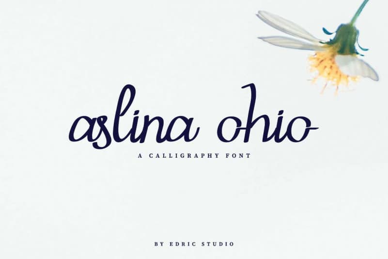 Aslina Ohio Demo