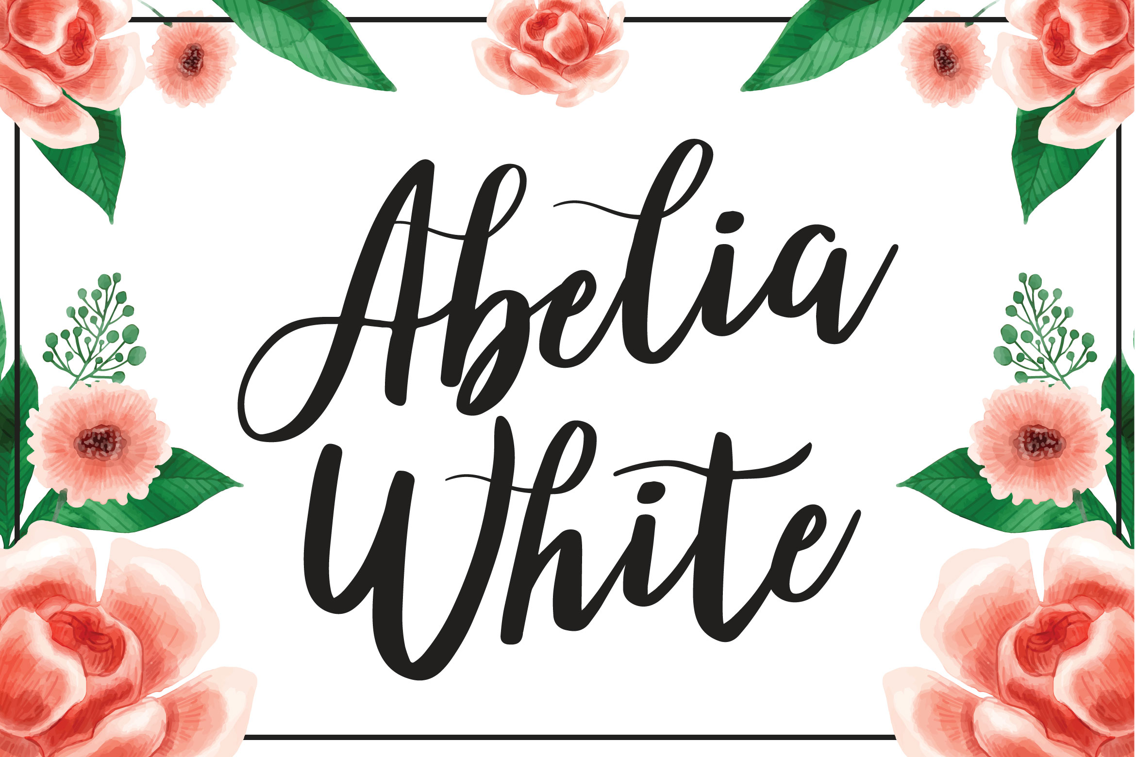 Abelia White