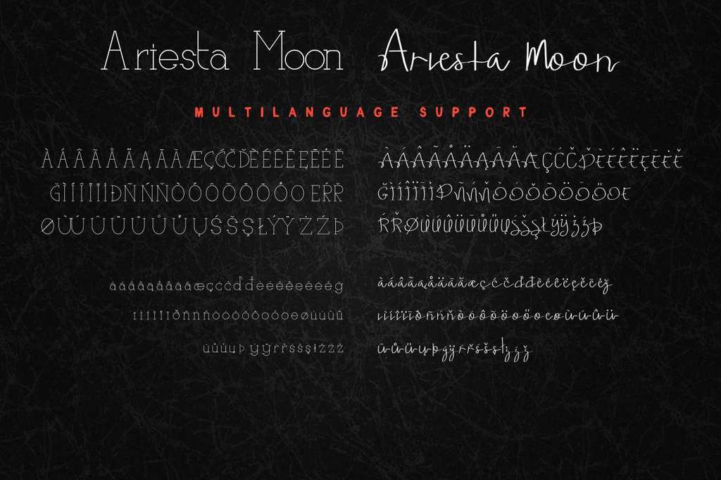 Ariesta Moon Demo