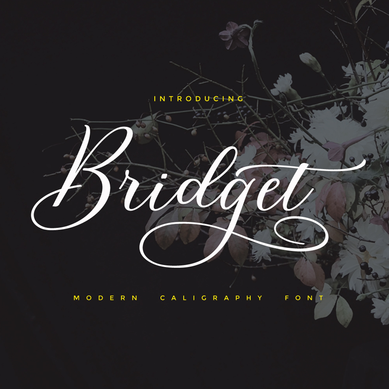 Bridget Script