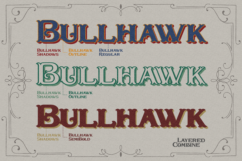 Bullhawk Personal Use Only