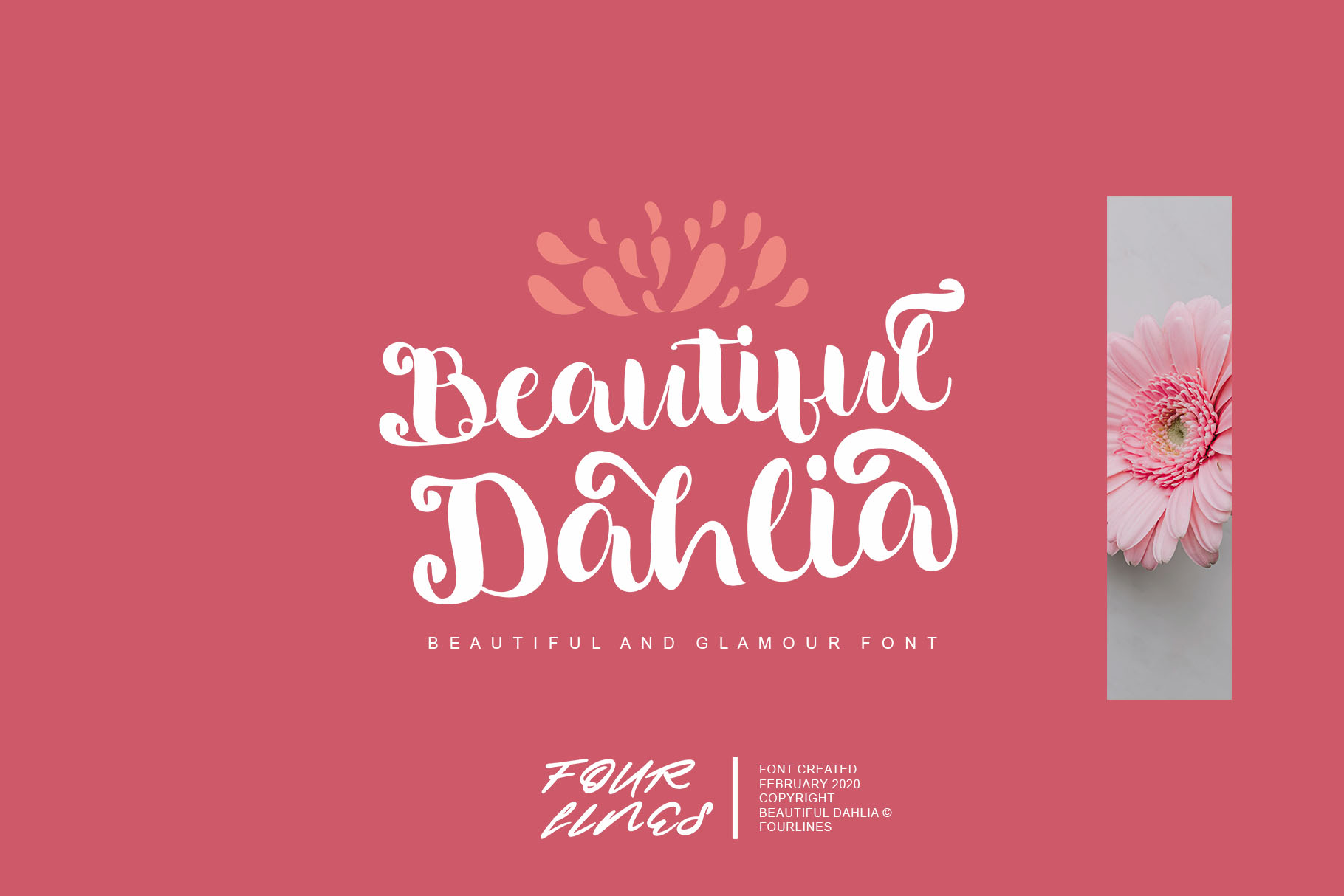 Beautiful Dahlia