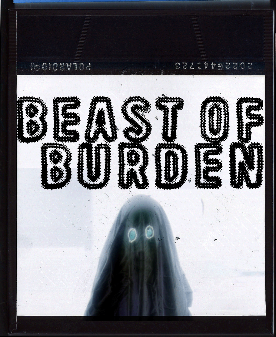 Beast Of Burden