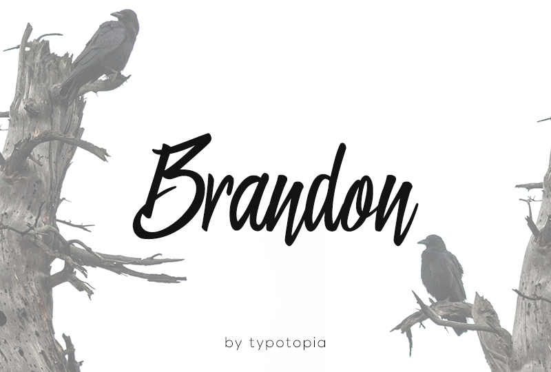 download brandon text font free