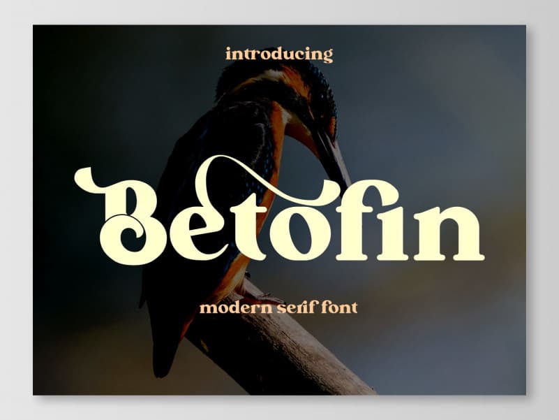 Betofin free for personal use