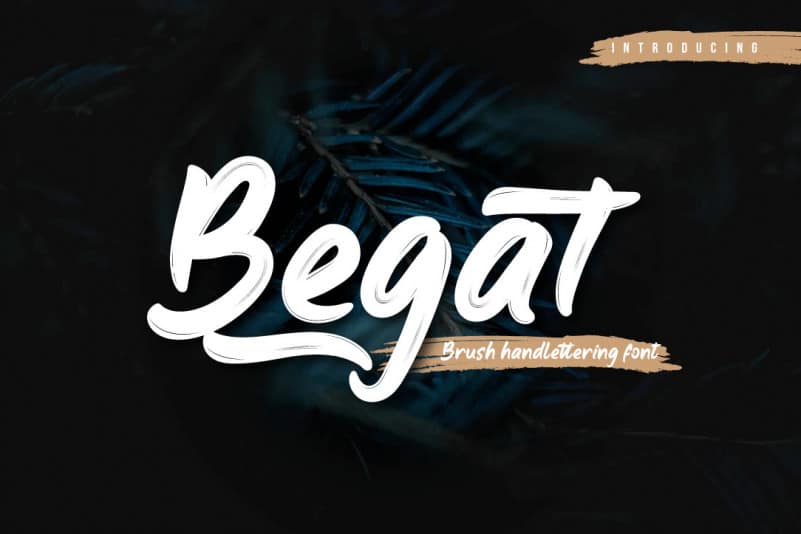 Begat