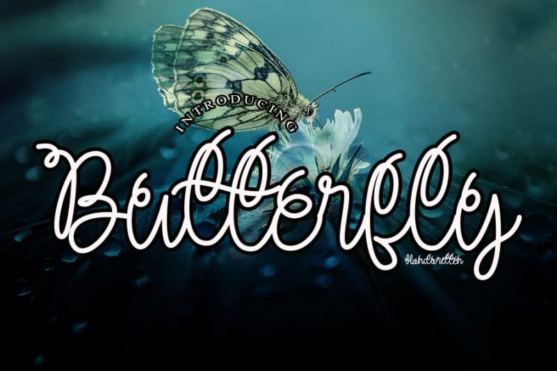 Butterfly