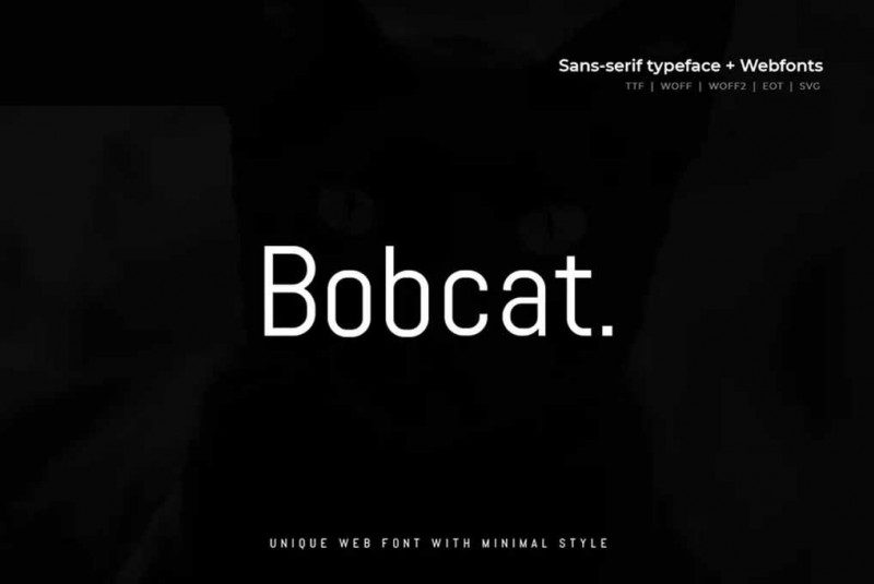 Bobcat sans serif