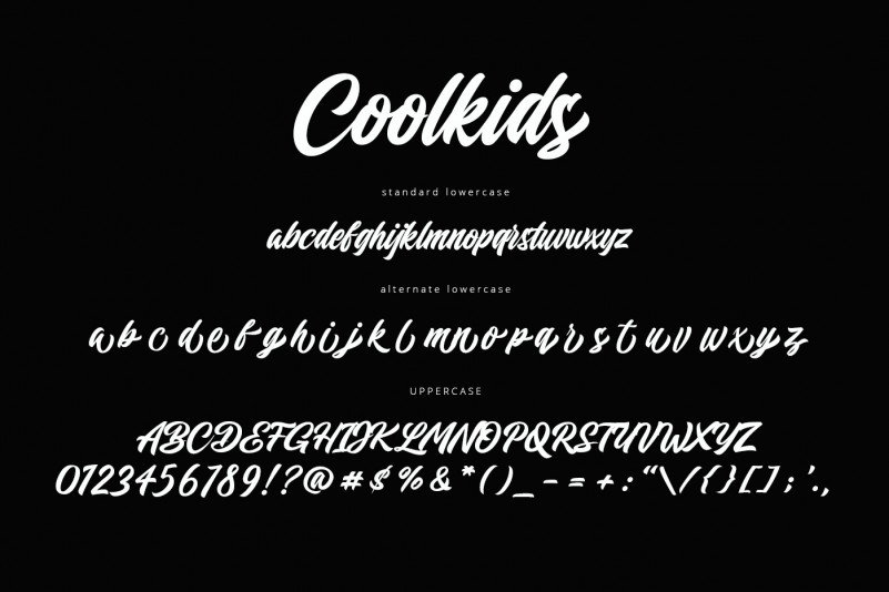 Coolkids - Script Typeface