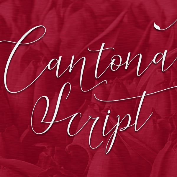 Cantona Script