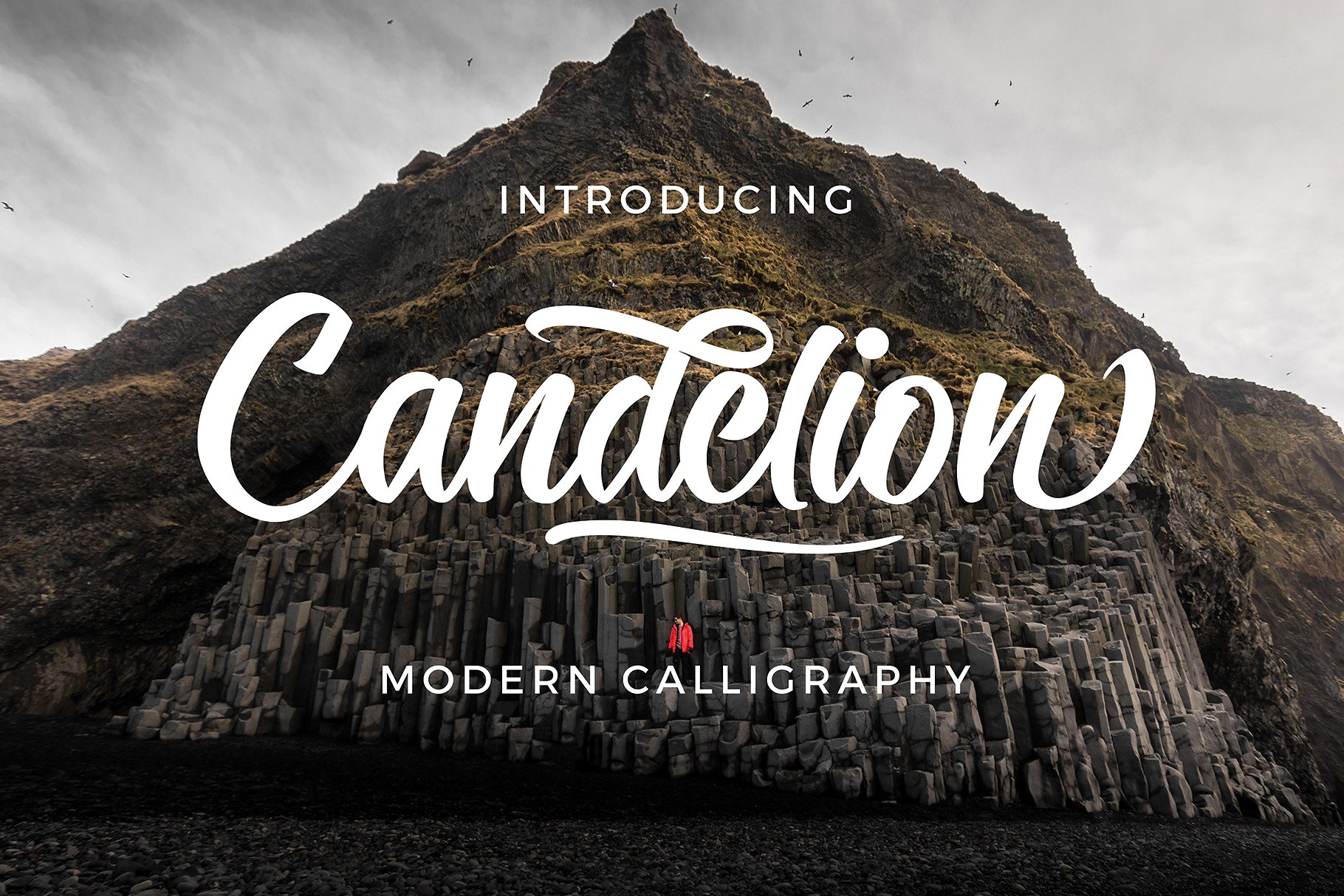 Candelion Bold