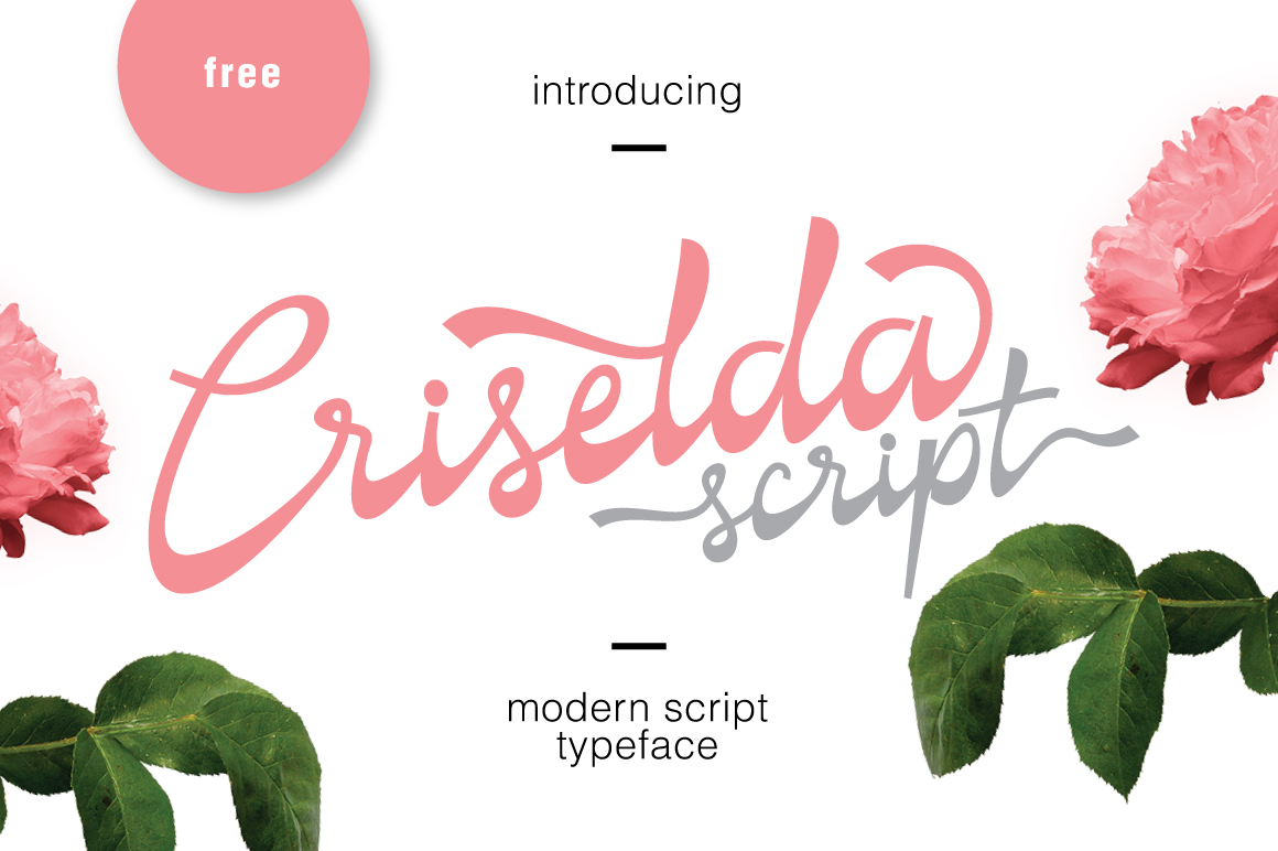 Criselda Script