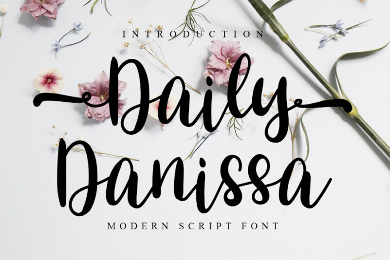 Daily Danissa