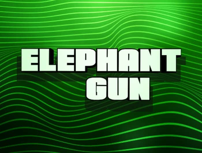 Elephant Gun 3D Italic