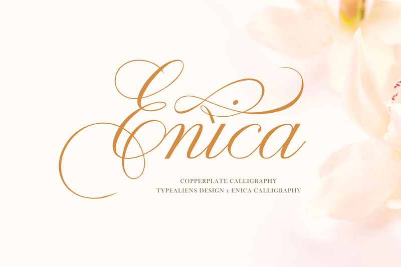 Enica Personal Use Only