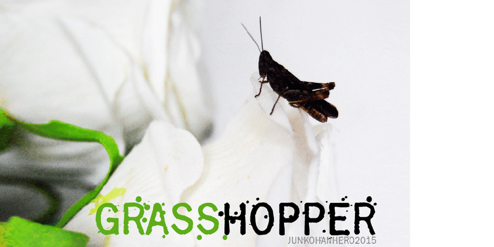 Grasshopper Z