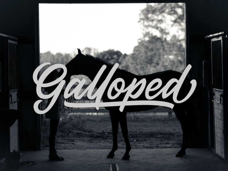 Galloped