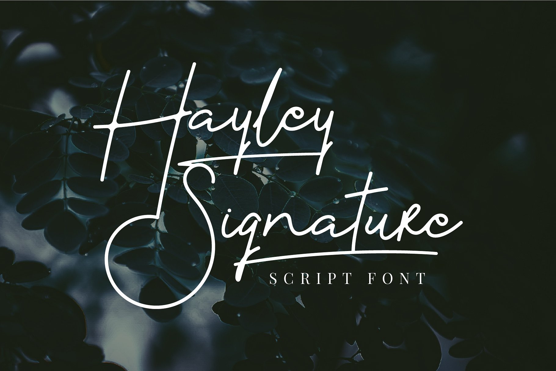 Hayley Signature