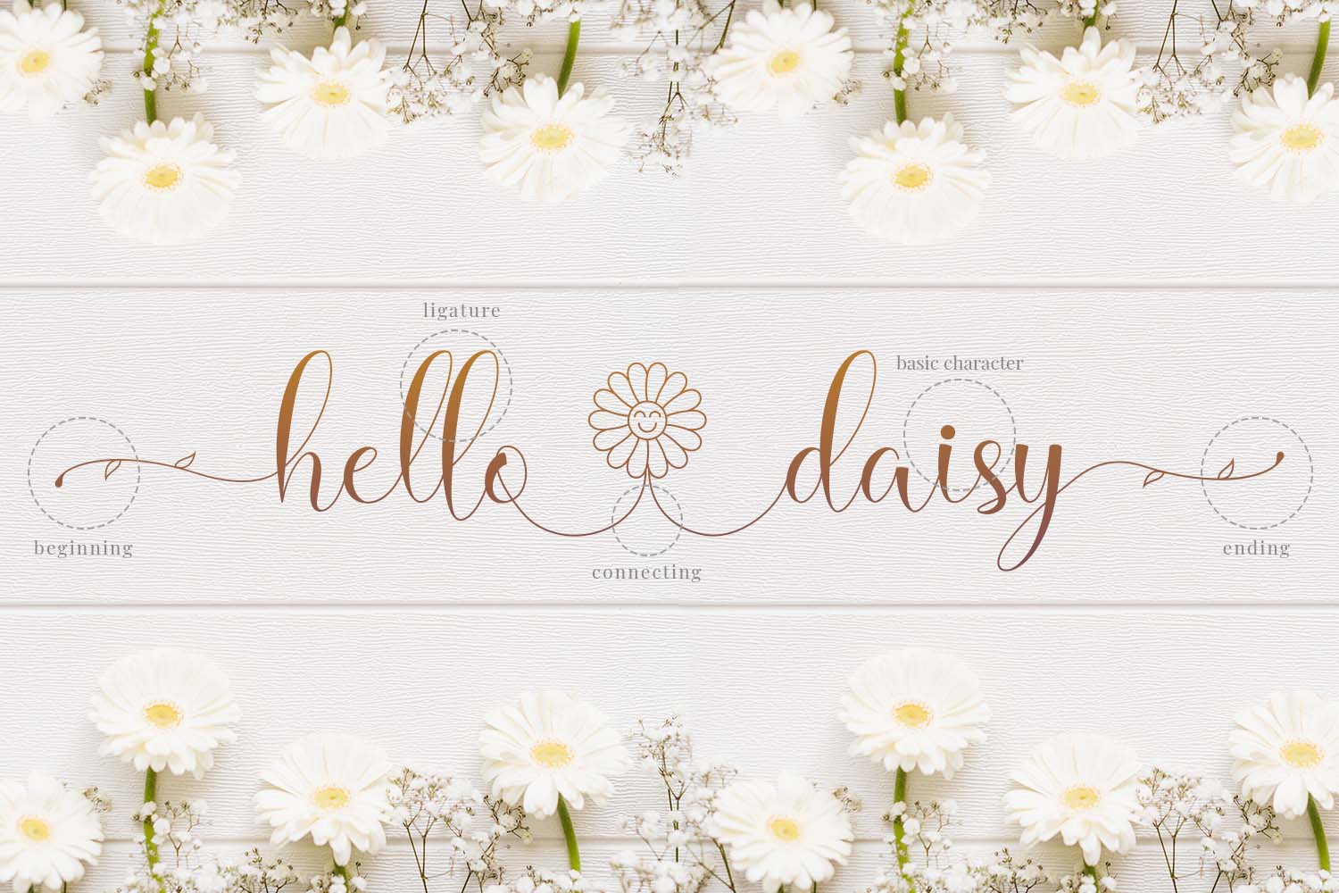 Hello Daisy