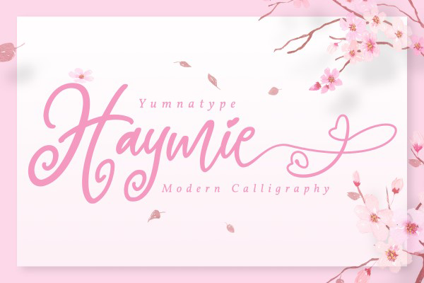 Haymie Personal Use