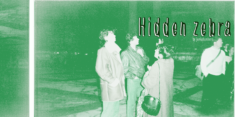 Download Hidden Zebra font | fontsme.com
