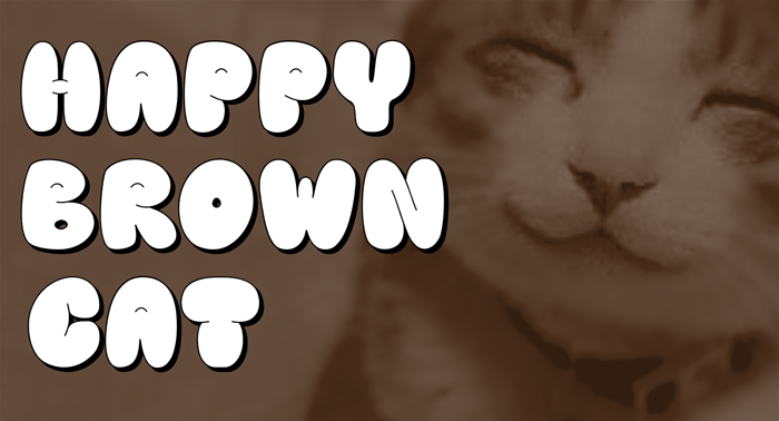 Happy brown cat