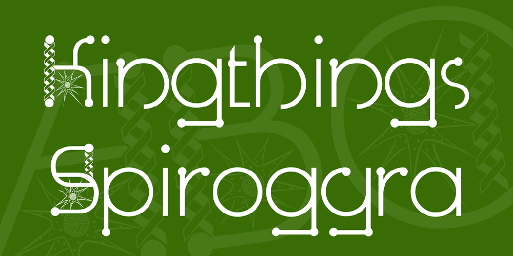 Kingthings Spirogyra
