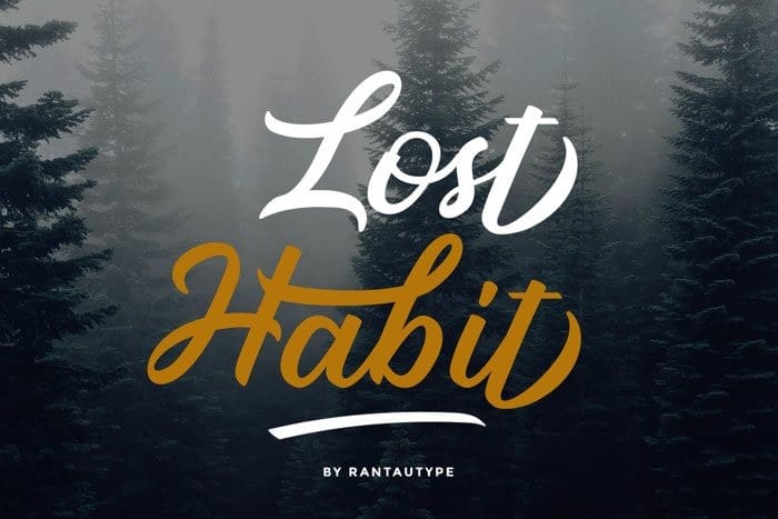 Lost Habit