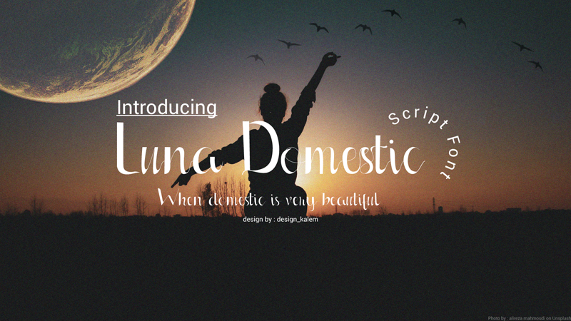 Luna Domestic