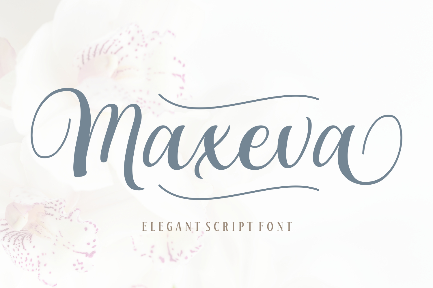 Download Free Download Maxeva Font Fontsme Com PSD Mockup Template