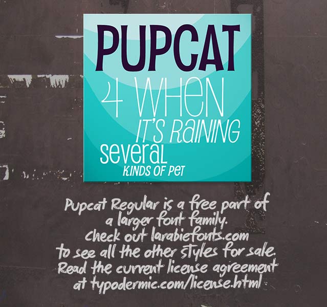 PupcatRg-Regular Font