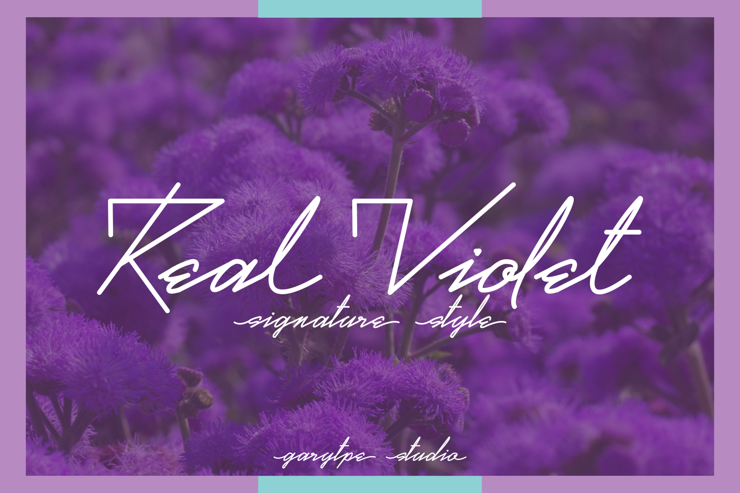 Real Violet Demo