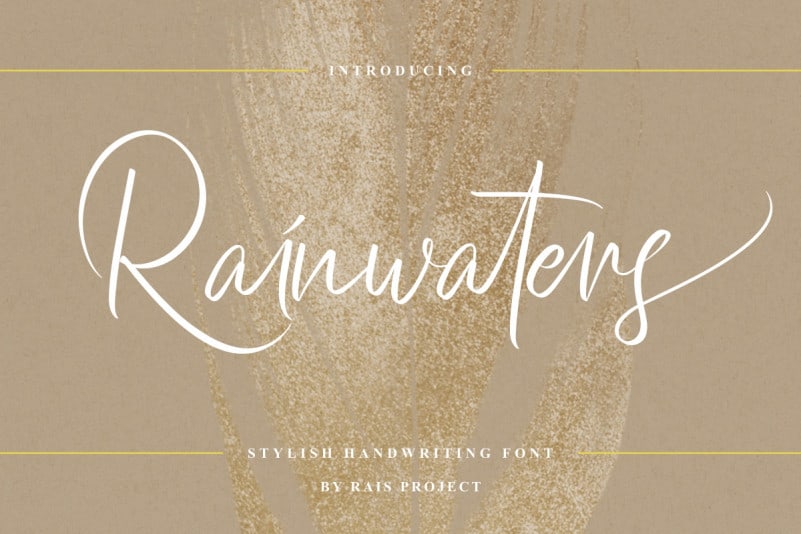 Rainwaters Demo