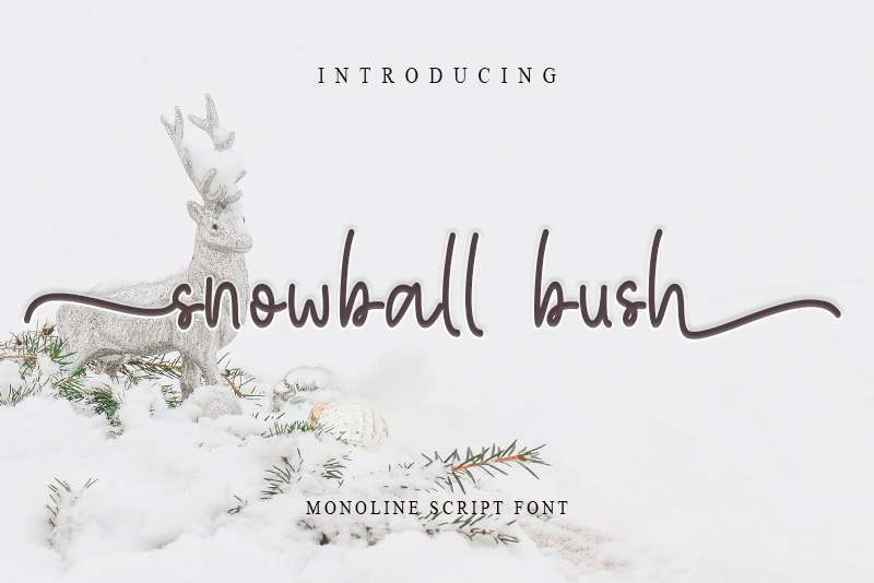 snowball bush