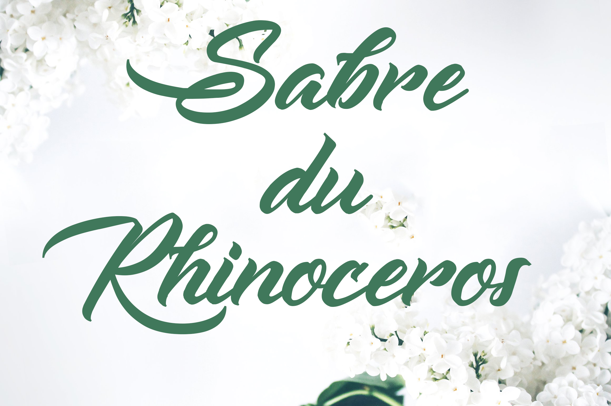 Sabre Du Rhinoceros