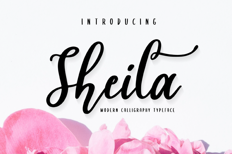 Sheila calligraphy