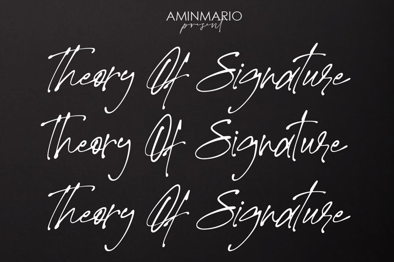 Theory of Signature