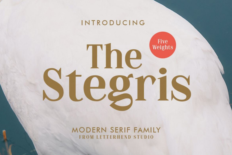 The Stegris