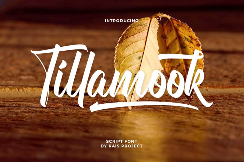 Tillamook Demo