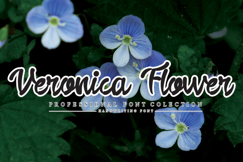 Veronica Flower