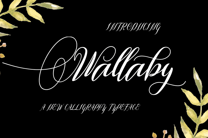 Wallaby handwritten Free