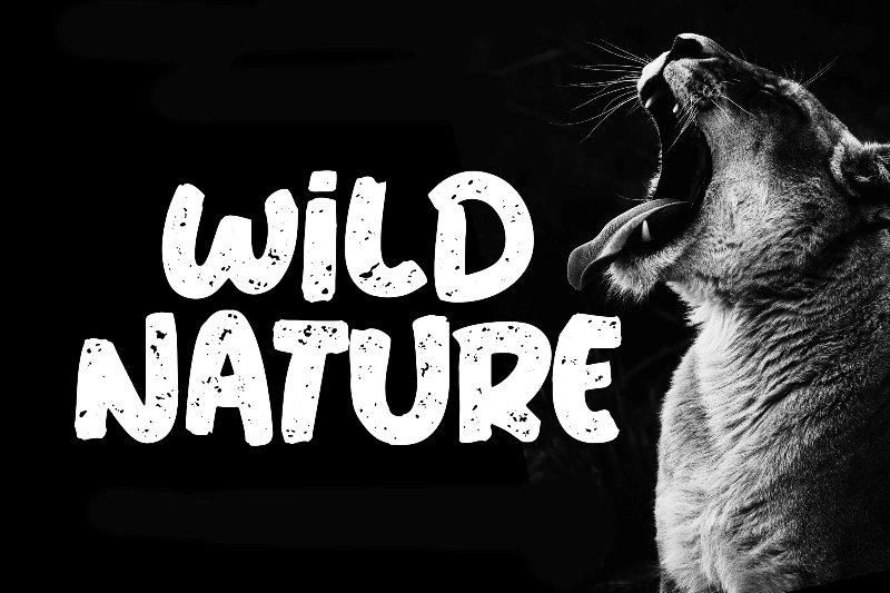 Wild Nature